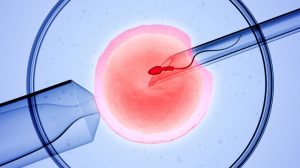 All you need to know about IVF